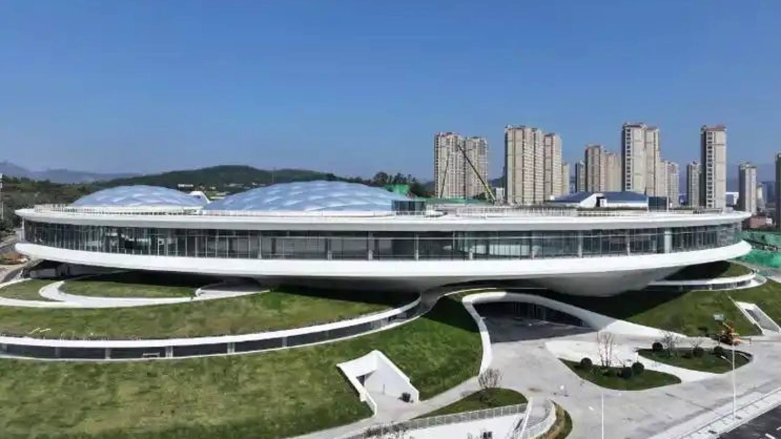 2026lol全球总决赛 用户评价栏目：体验者真实反馈